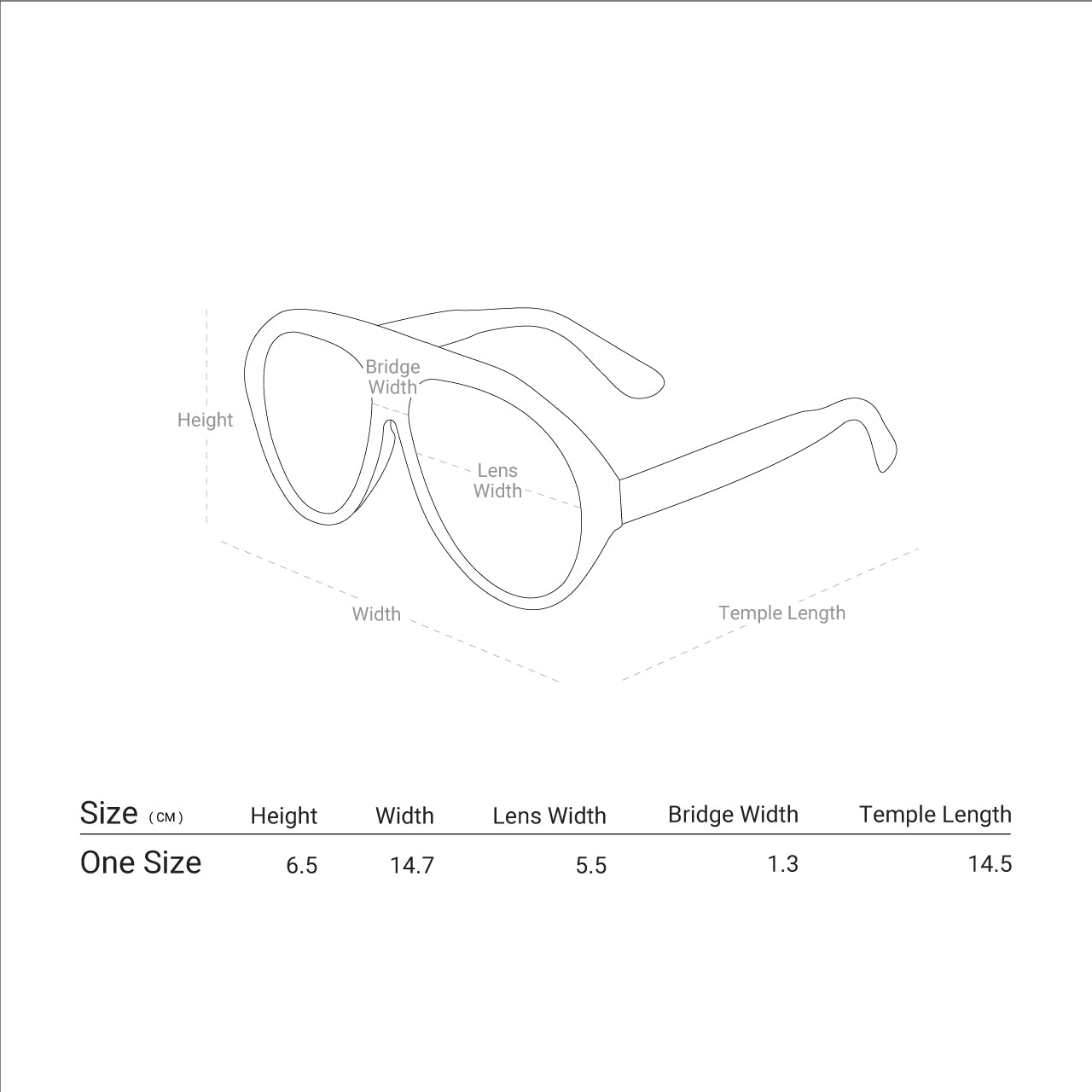 ThermoLab Vision Sunglasses