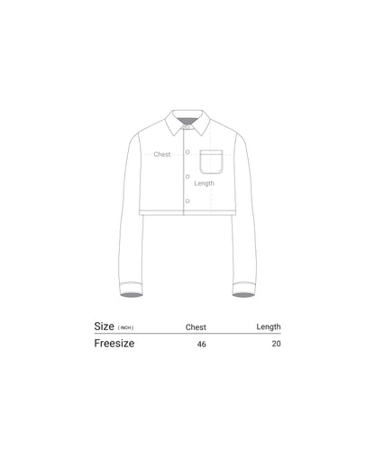 Compawny Stripes Shirt