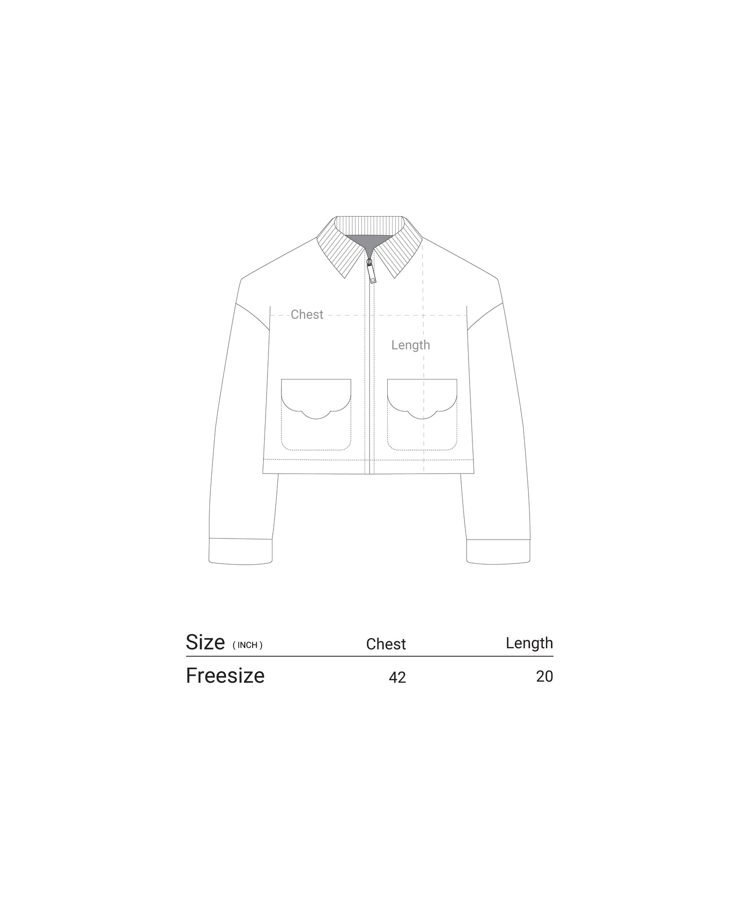 Spaniel Brownie Jacket