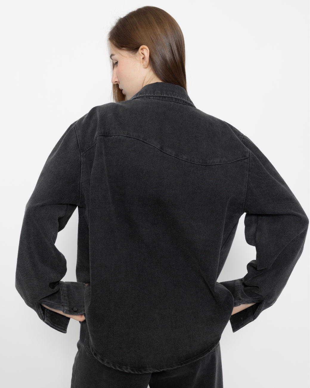 Tail Wag Denim Shirt